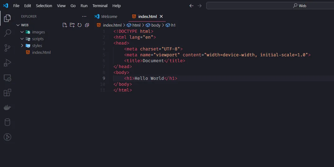 A screenshot of the files needed for a website